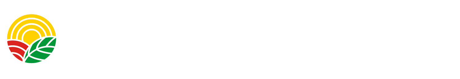 Congo Morning