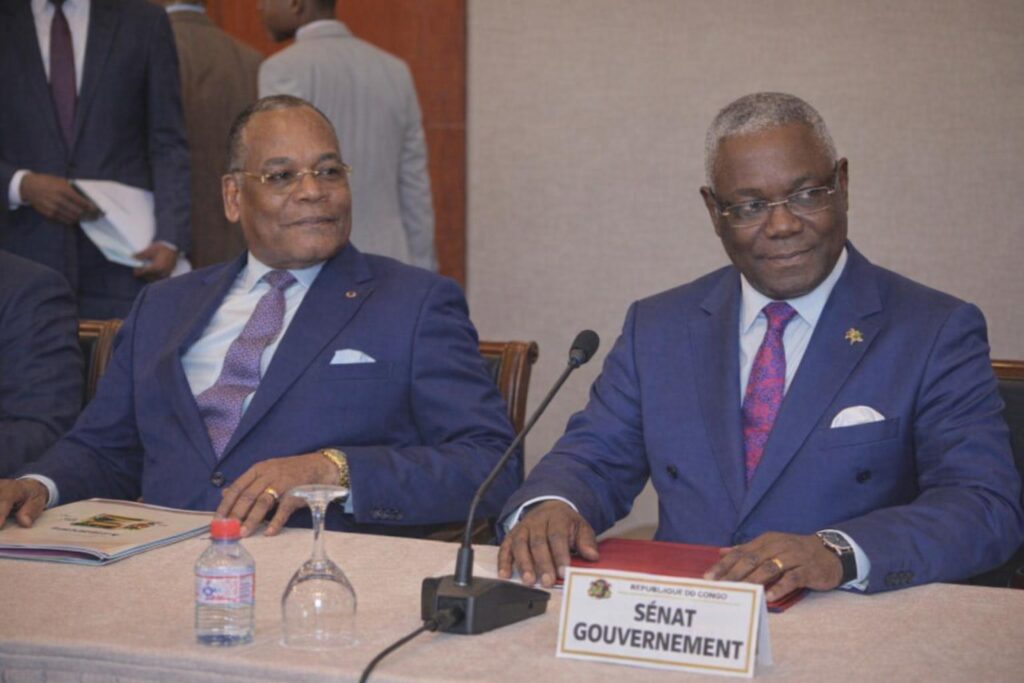 Senate Briefed on Security in Pool, Djoué-Léfini