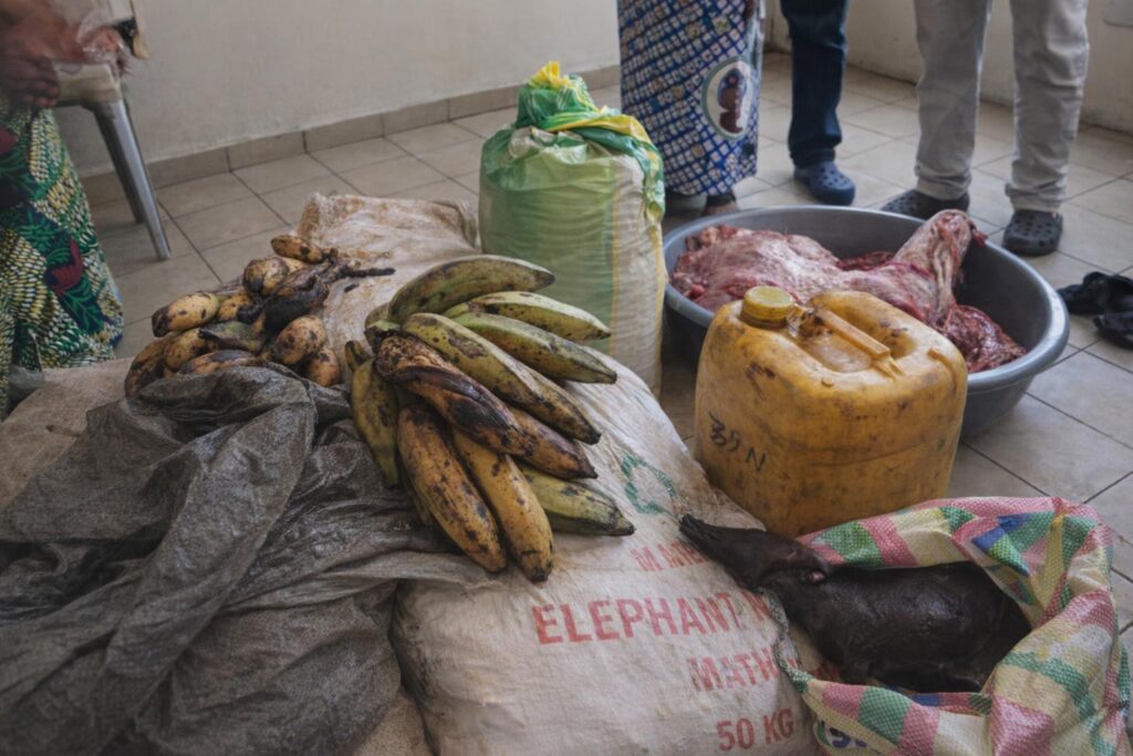 PCT’s Food Aid Tour Lights Up Brazzaville Care Homes